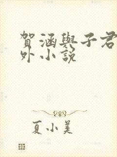 贺涵与子君的番外小说