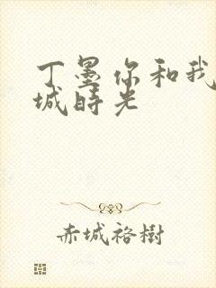 丁墨你和我的倾城时光封面