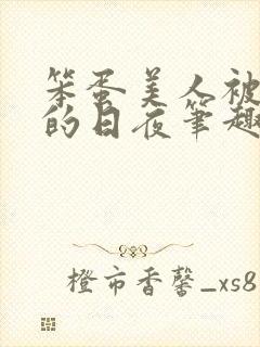 笨蛋美人被疼爱的日夜笔趣阁全文阅