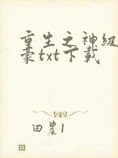 重生之神级大富豪txt下载封面