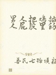 男人把鸡插入女人屁股里的视频