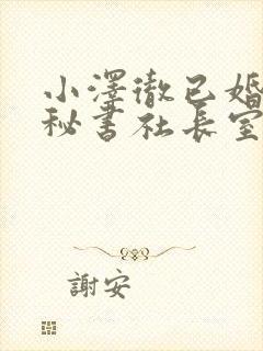 小泽彻已婚人妻秘书社长室封面