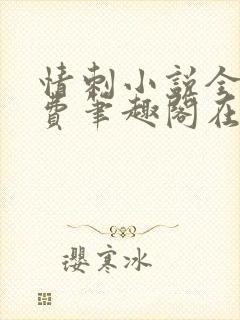 情刺小说全文免费笔趣阁在线阅读