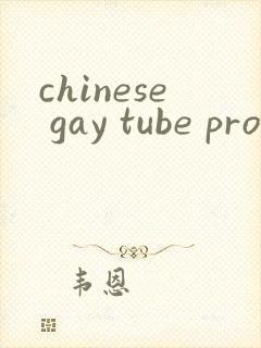 chinese gay tube pron封面