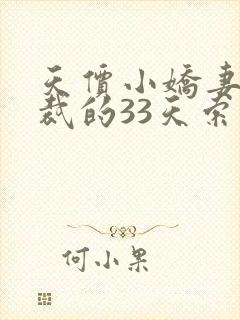 天价小娇妻,总裁的33天索情封面