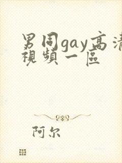 男同gay高清视频一区