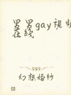 男男gay视频在线