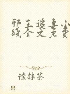 邪王追妻小说在线全文免费阅读