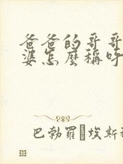 爸爸的哥哥的老婆怎么称呼