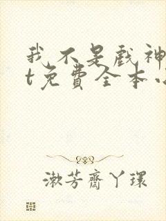 我不是戏神txt免费全本小说