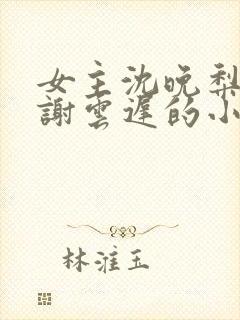 女主沈晚梨男主谢云迟的小说封面