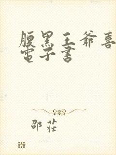 腹黑王爷喜当爹电子书