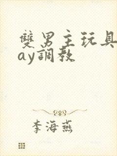 双男主玩具play调教