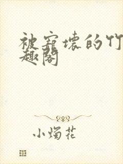 被宠坏的竹马笔趣阁