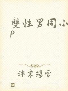 双性男同小说np