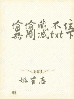 偷偷藏不住全文无删减txt下载封面