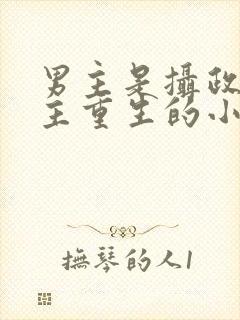 男主是摄政王女主重生的小说