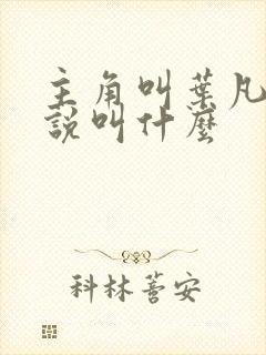 主角叫叶凡的小说叫什么