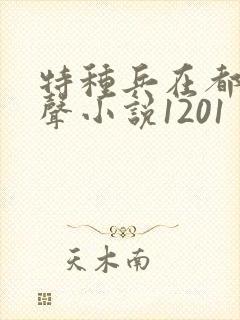 特种兵在都市有声小说1201