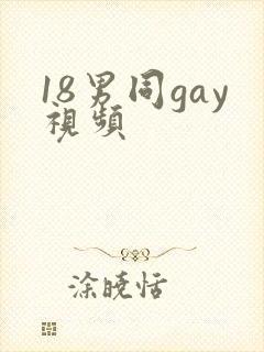 18男同gay视频