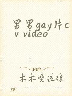 男男gay片cⅴvideo