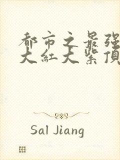 都市之最强狂兵大红大紫顶点