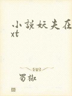 小说妖夫在上txt