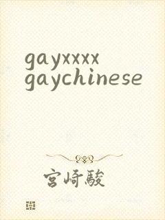 gayxxxxgaychinese