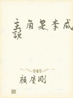 主角是李成的小说封面