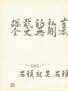 总裁的私有宝贝全文无删减免费阅读封面