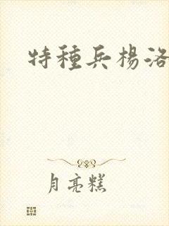 特种兵杨洛小说封面