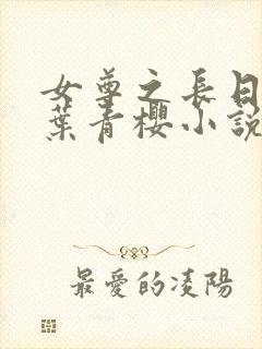 女尊之长日光明叶青樱小说笔趣阁