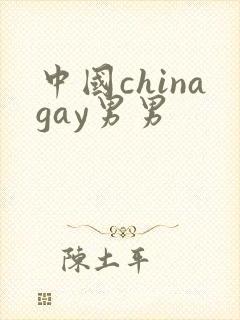 中国chinagay男男