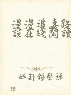 漫漫追妻路 小说在线阅读