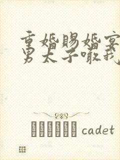 重婚赐婚宴,渣男太子喊我小皇婶短剧