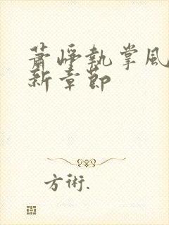 萧峥执掌风云最新章节