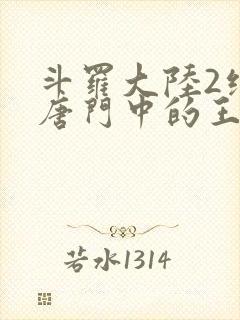 斗罗大陆2绝世唐门中的王冬