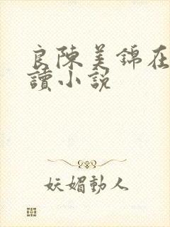 良陈美锦在线阅读小说封面