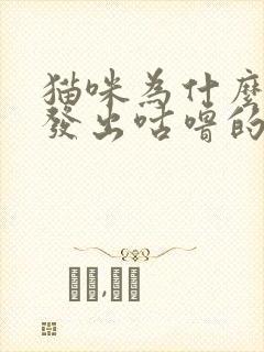 猫咪为什么一直发出咕噜的声音