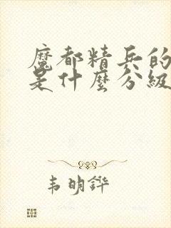 魔都精兵的奴隶是什么分级