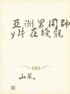 亚洲男同帅gay片在线观