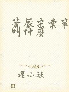 萧厌宋棠宁短剧叫什么封面