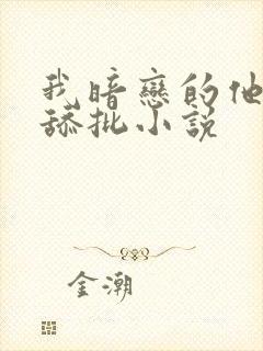 我暗恋的他总在舔批小说