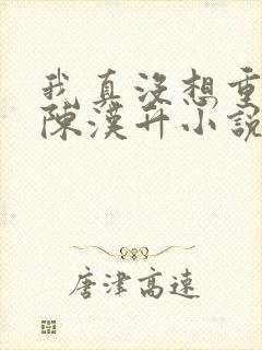 我真没想重生啊陈汉升小说免费