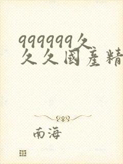 999999久久久国产精品丝袜高跟