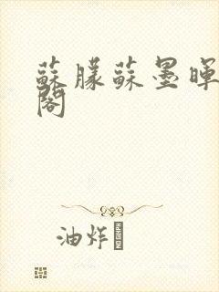 苏朦苏墨晖笔趣阁