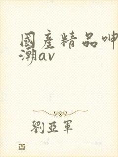 国产精品呻吟高潮av