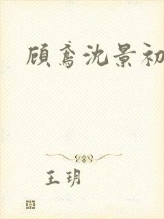 顾鸢沈景初