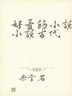 好看的小说言情小说古代