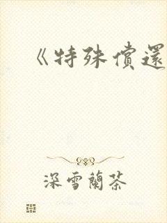 《特殊偿还》封面